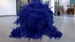 COLLECTION DU FRAC - ESTHER HOAREAU