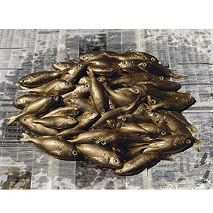 Un jour idéal, 2015