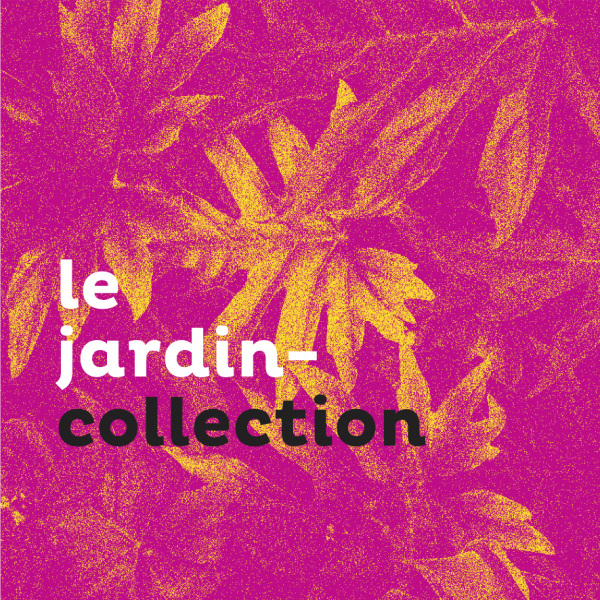 Le FRAC RÉUNION inaugure son jardin-collection
