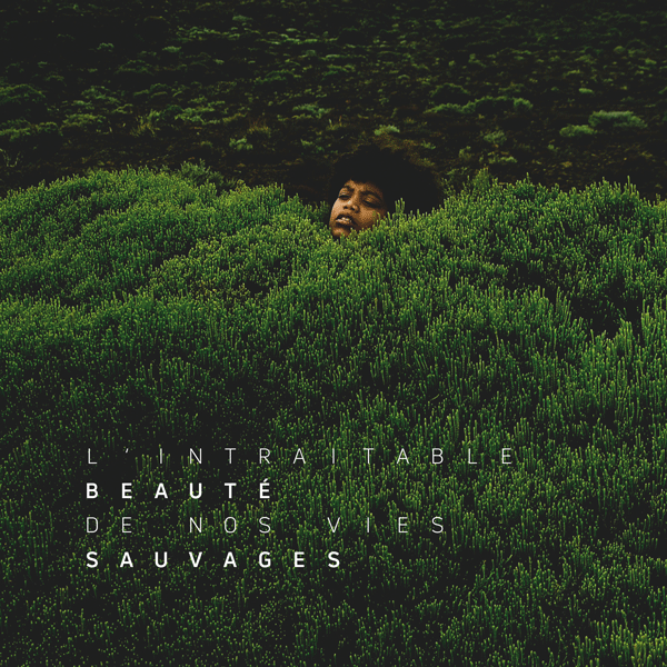 L’intraitable beauté de nos vies sauvages