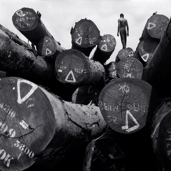 David Damoison - Série sans titre (Congo, pointe noire, 15 photographies) 

Photographie, noir et blanc 

Tirage au charbon noir et blanc, piézographe 

2009 
50 × 50 cm 

Collection FRAC Réunion 